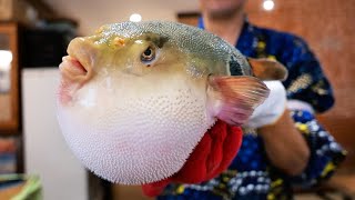 Japanese Food - POISONOUS FUGU Fukumeshi Okinawa Seafood Japan