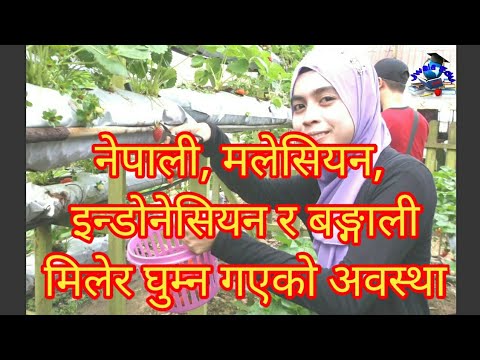 Cable Car Genting Highland Malaysia | केबलकार मा सरर । Jwala Edu Nepali