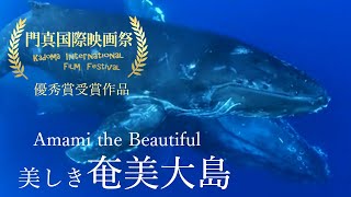 国際映画祭優秀賞/奄美大島ホエールスイム クジラの海とマングローブの森 swim with whales