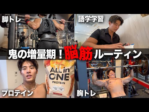 【腕周り44cm到達！】1.5ヶ月で10kg増量した脳筋男の3日間ルーティーン