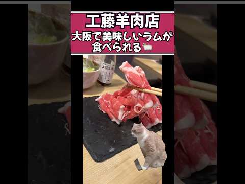 【大阪グルメ】大阪で食べれる本格的な北海道ラムしゃぶしゃぶ #猫ミーム #飯テロ