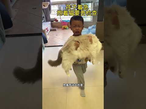 这是一个关于我家猫和孩子相互救赎的经历…  #猫和孩子