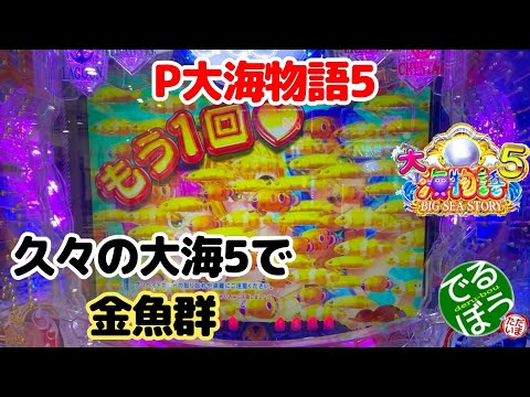 9月4日　パチンコ実践　P大海物語5　久々の投稿で久々の大海5です