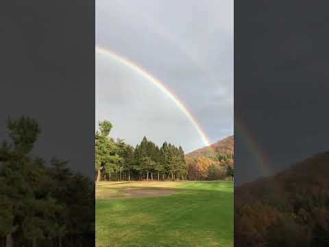 虹が生えてる🌈