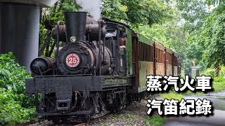 【蒸機汽笛大集合EP2】台灣各式蒸汽火車鳴笛 DT668、CT273、SHAY