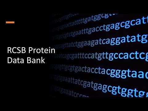 RCSB Protein Data Bank