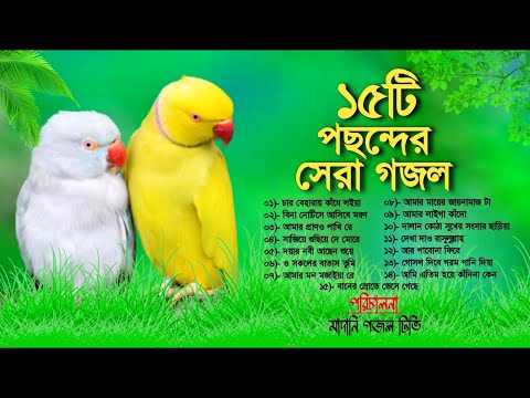 ১৫টি সকলের পছন্দের সেরা গজল//Allah Tume Super Hit Top 15 Gojol//Bangla Gojol Album//Madani Gajal TV