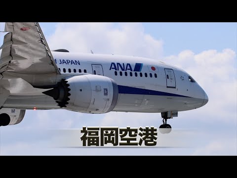 【福岡空港】B787とA350の離着陸シーン