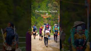 Heaven On Earth #viralvideo #kedrnathstatus #kedarnathswarg #shortsvideo #shorts #nature #pahadi