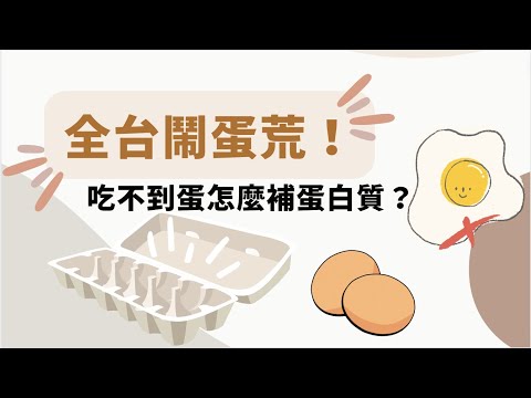 全台鬧蛋荒！吃不到蛋怎麼補充蛋白質？營養師：吃這些豆類最好