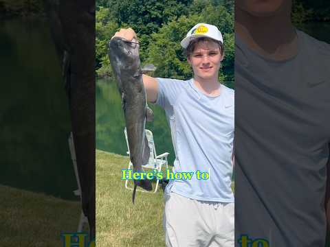 HOW TO Catch Channel Catfish One After Another!! #shorts #fishing