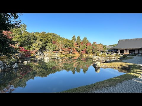 嵐山竹林小徑+天龍寺的春秋美景 Arashiyama + Tenryuji Temple Autumn  Leaves & Spring Cherry Blossom 4-3 & 11-19-2023