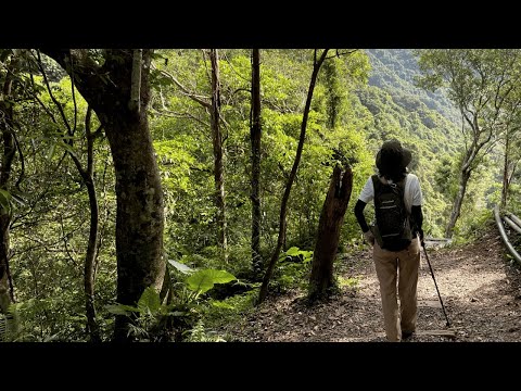 夏日的清新選擇｜烏來紅河谷步道｜癒療系親水優閒步道｜cakethree三個蛋糕