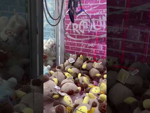 SANRIO POM POM PURIN Claw Machine Win! #arcade #round1 #sanrio #pompompurin #funzone #clawmachine