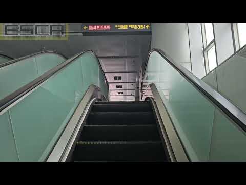 Taiwan MRT Taipei Exit 3 Escalator Up OTIS