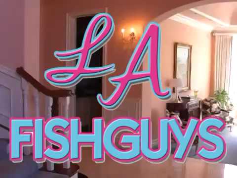 In-Wall Aquarium Overhual, LA Fishguys, Episode Seven, Part 1