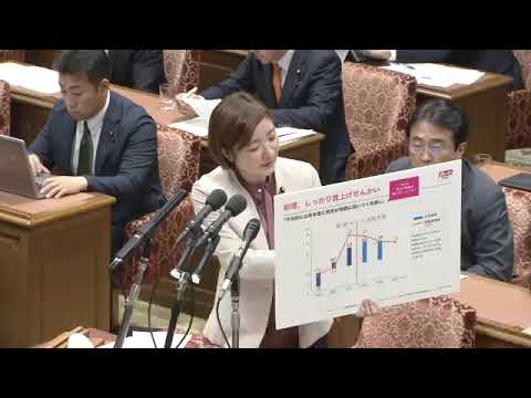 大石あきこ　2023年11月10日　衆議院・内閣委員会