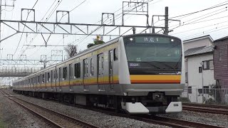 【南武線】E233系8000番台、東海道貨物線で試運転