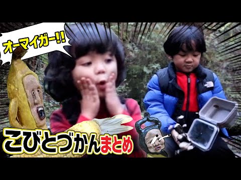 【こびとづかん】リクエスト人気動画まとめ!!!!