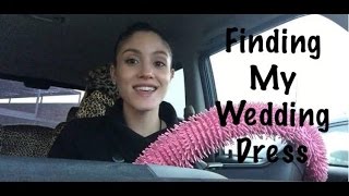 Finding my Wedding Dress Story Time