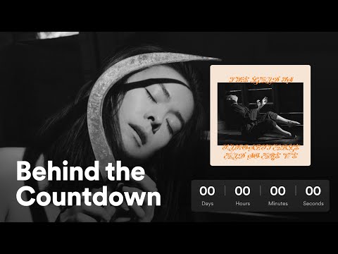 Behind the Countdown for Mitski's LP: The Land Is Inhospitable and So Are We