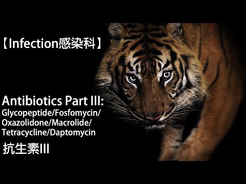 【Infection感染科】Antibiotics Part III抗生素III