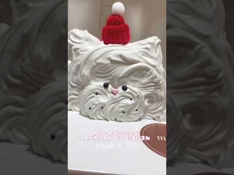 猫ちゃんケーキ🍰🎅 #me新大久保