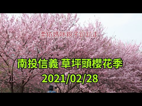 南投信義 草坪頭 2021/02/28