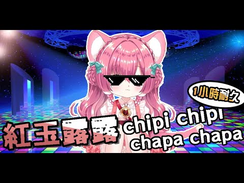 紅玉蘿露的CHIPICHIPI 1小時耐久