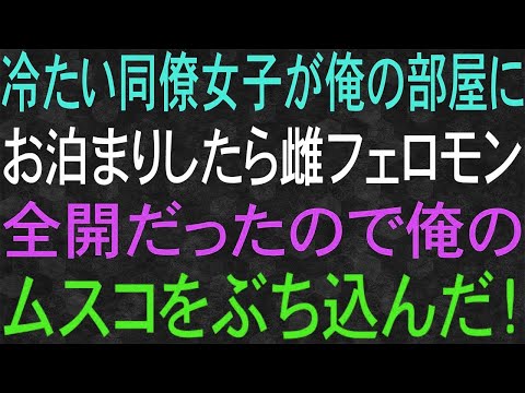 【スカッと】冷たい同僚女子が俺の部屋にお泊まりしたら、雌フェロモン全開だったので俺は…！