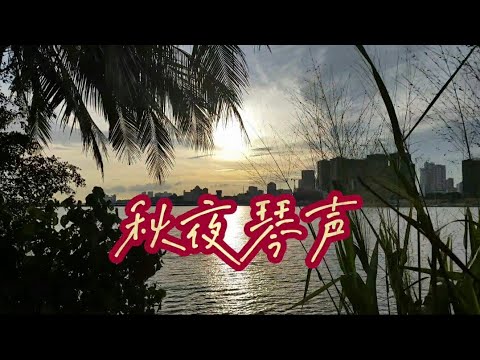 秋夜琴声~HD Audio老歌新体验【高清音质】