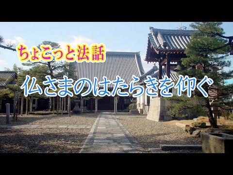 ちょこっと法話「仏さまのはたらきを仰ぐ」