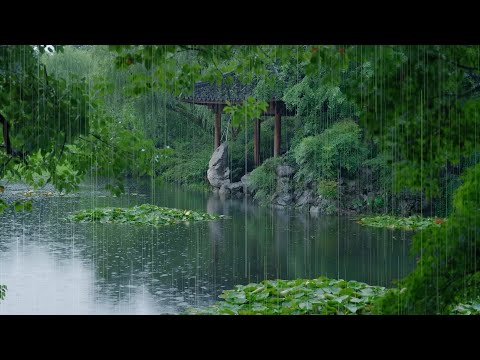 The beautiful little lake is raining(221) , sleep, relax, meditate, study, work, ASMR