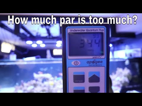 HOW MUCH PAR IS TOO MUCH PAR! IN YOUR AQUARIUM?