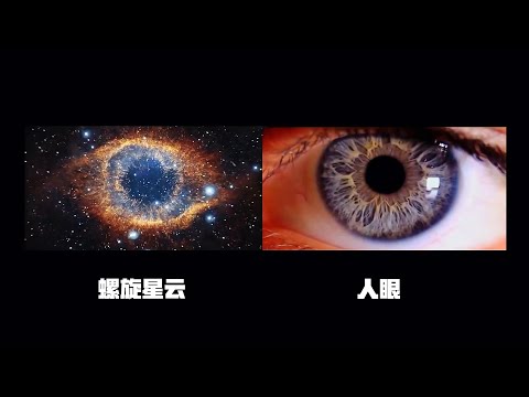 細胞和宇宙！身體裏藏著“第二宇宙”