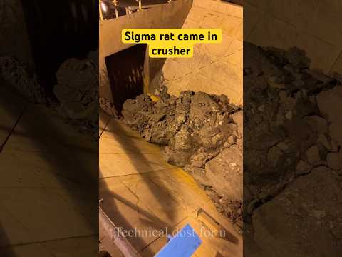 Rat came into the crusher #trending #automobile #rat ##crushermachine #crushing #trackedcrusher