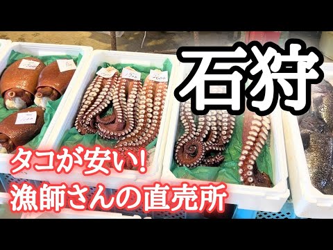 【北海道】厚田港朝市でウニ調査🧐次に向かう先は『漁師さんの直売所』穴場発見！？