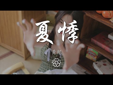 黃鯤 - 夏悸『夏夜的悸動 是一場盛大的相逢』【動態歌詞Lyrics】