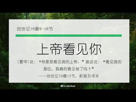 11月10日《灵命日粮》文章视频-上帝看见你