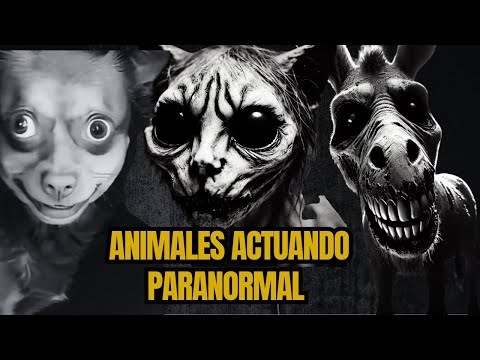 ¡Animales Humanizados! Historias de Terror con Burros, Gatos y Perros