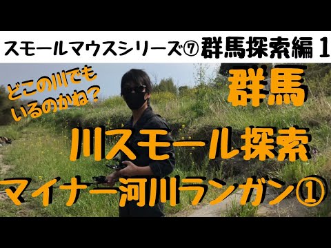 【川スモールマウスバス釣り　シリーズ⑦　群馬編】有名河川以外で川スモール探索の旅①　smallmouth bass