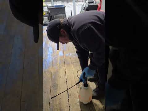 Applying wood sealer to the trailer deck