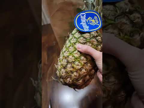 How to quickly ripen green pineapples!