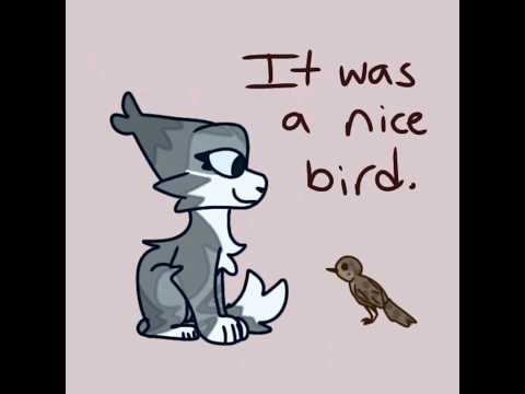 Lambpaw ate Quickpaw's bird. 😢