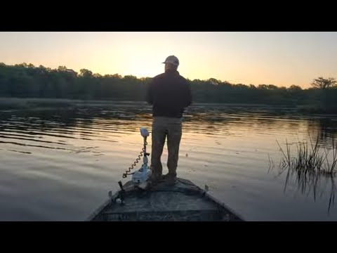 Top Water Bass Fishing | Santee Cooper | LIVE STREAM | 3-31-24