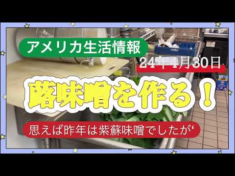 アメリカ生活情報　蕗の葉を使って「蕗味噌」を作る