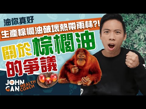 棕櫚油破壞森林? 但禁止棕櫚油更糟?! 😲 棕櫚油的爭議大探索 (棕櫚油#2) Palm oil's biggest controversies