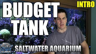 BEGINNER Saltwater Aquarium Setup - On a Budget - Starter Kit for less then $400