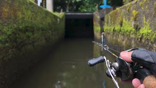 トンネルの奥にぬしが居る