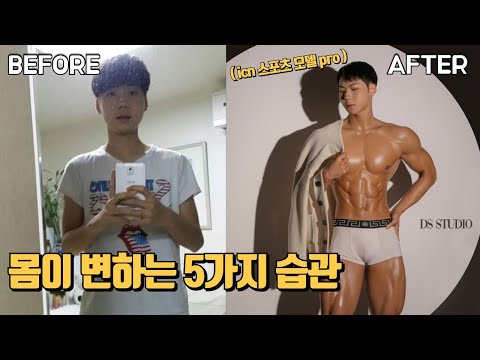 몸이 좋아지고 싶다면 당신이 지켜야 할 5가지 습관(feat. 곰피로 영양제)